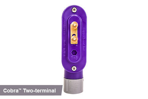 Purple two-terminal cobra access point