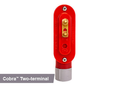 Red two-terminal access point