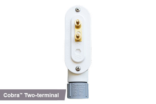 White two-terminal cobra access point