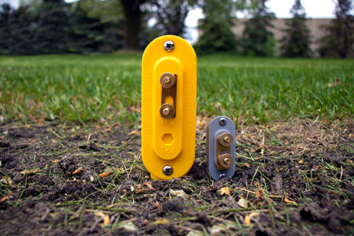 Yellow mini cobra in the ground