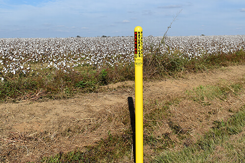 Yellow mamba round marker post in the grass